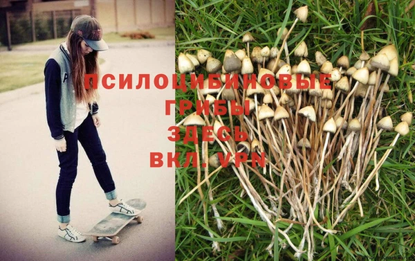 винт Медвежьегорск
